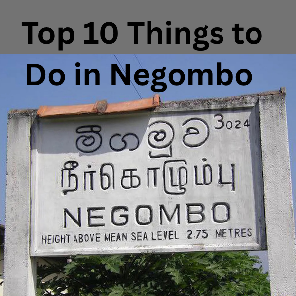 Top 10 Things to Do in Negombo City, Sri Lanka